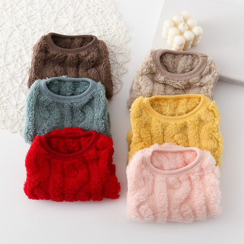 Pullover Pet Colors